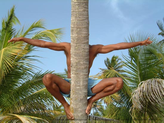 j-m-hiding-behind-cocotree-z